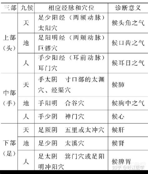 左水右尺|大小肠脉诊部位辨/述作类